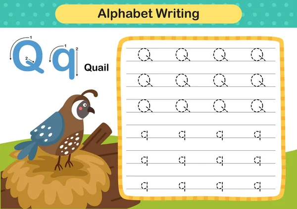 Alfabet Letter Kwartel Oefening Met Cartoon Woordenschat Illustratie Vector — Stockvector