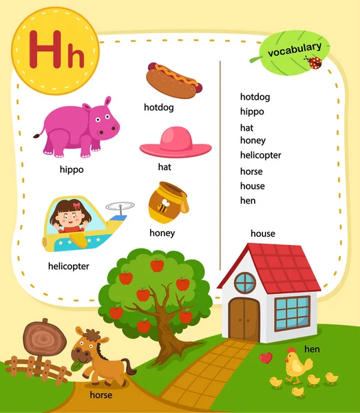 Alfabeto Carta Vocabulário Educacional Ilustração Vetor — Vetor de Stock