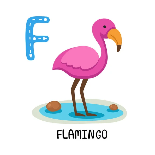 Ilustração Isolado Animal Alfabeto Letra Flamingo — Vetor de Stock