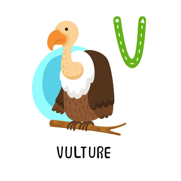 Illustration Isolated Animal Alphabet Letter Vulture — Stok Vektör