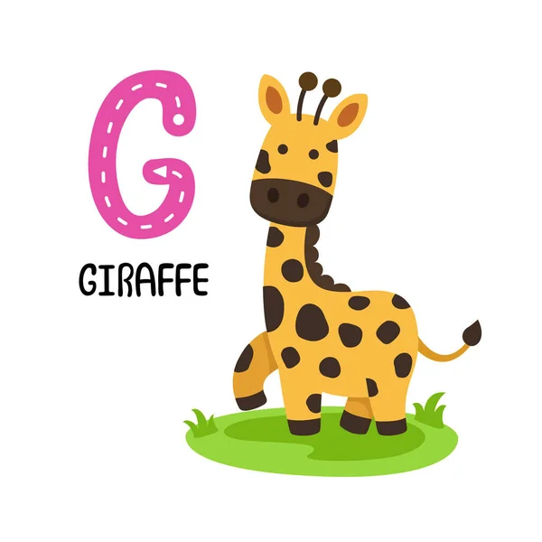 Ilustração Alfabeto Animal Isolado Carta Girafa —  Vetores de Stock