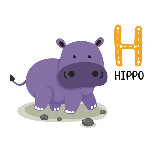 Illusztráció Elszigetelt Állat Ábécé Levél Hippo — Stock Vector