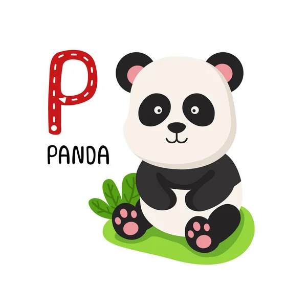 Ilustrace Izolované Zvířecí Abecední Písmeno Panda — Stockový vektor