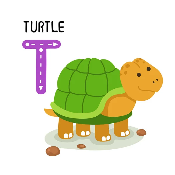 Illustrazione Alfabeto Animale Isolato Lettera Turtle — Vettoriale Stock