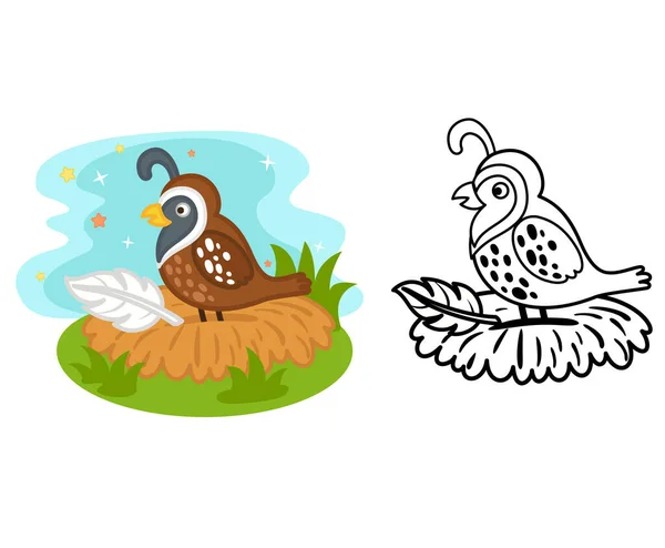 Illustration Educational Coloring Book Cartoon Quail Vector — 图库矢量图片