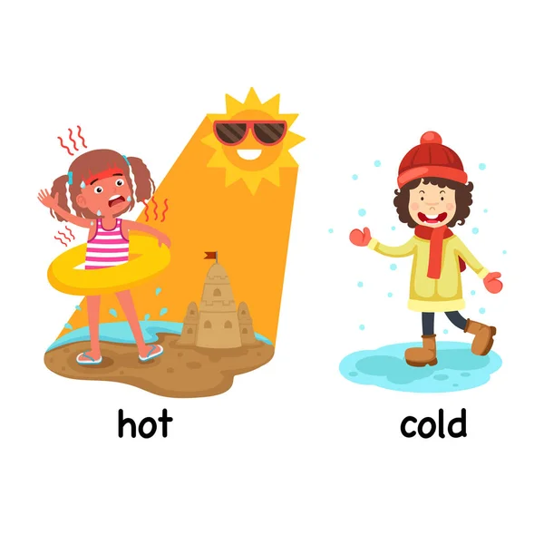 Words Hot Cold Vector Illustration — Archivo Imágenes Vectoriales