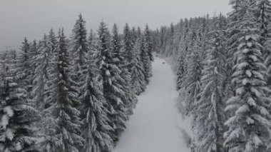 Kış mevsiminde buzla kaplı dağlar Karlı Buz Dağları Arkaplanı