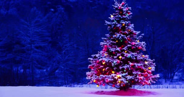 Christmas Decoration Drzewo Śnieg Kolorowe Światła Sezon Zimowy Happy Winter — Wideo stockowe