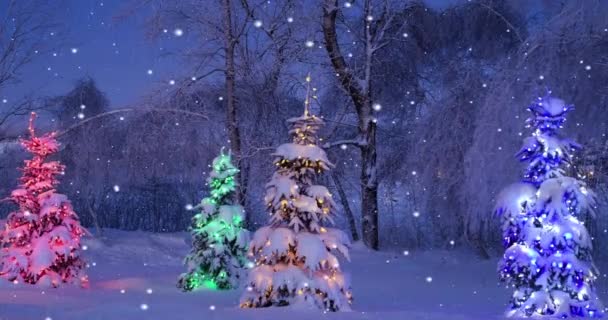 Kerstbomen Natuur Winter Seizoen Kleurrijke Verlichting Ijs Bedekte Versierde Omgeving — Stockvideo
