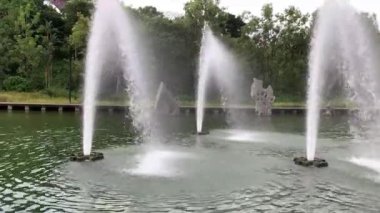 Beautiful Fountains in a Park Water Pool
