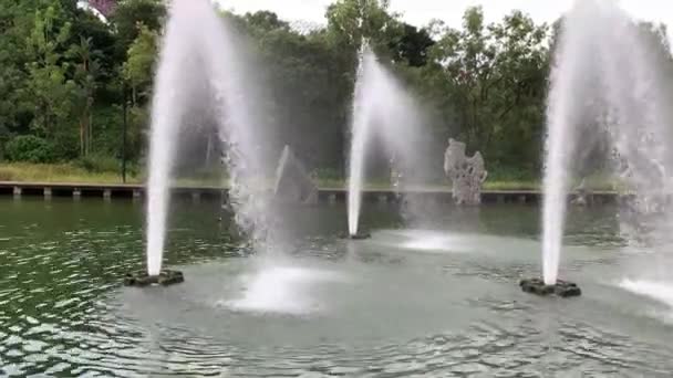 公园游泳池内美丽的喷泉 — 图库视频影像