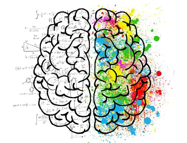 Cervello Destro Cervello Sinistro Colourful Mentality Knowledge Sketch Con Equazioni Foto Stock