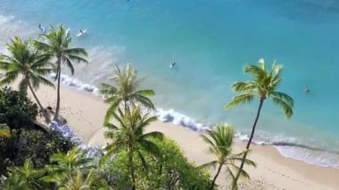 Çekici Dalgalar Mavi Deniz Taraflı Hindistan Cevizi Ağaçları Maldivlerine hücum ediyor