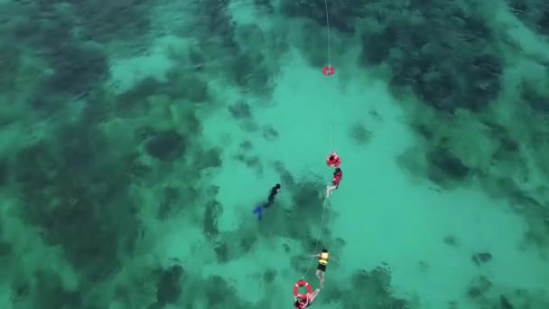 Naturaleza Paisaje Superficie Del Agua Arrecife Coral Buceo — Vídeos de Stock