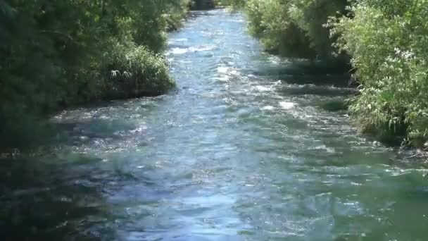 Green View Rivier Water Met Sterke Stroming Natuur — Stockvideo