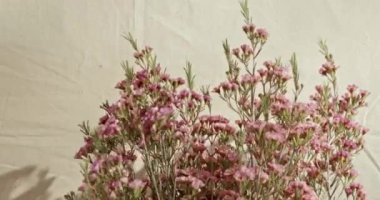 Güzel botanik fotoğrafı, doğal duvar kağıdı.