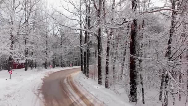 Зимовий Вид Дорогу Лісі Хабом Стоїть Узбіччі Дороги Зимові Канікули — стокове відео