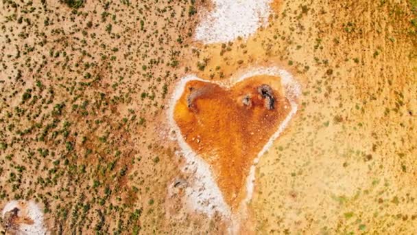トップダウンビューオレンジ色のハート型は チャクナ自然保護区 Vashlovani国立公園 ジョージア州の泥火山サイトで形成されます — ストック動画