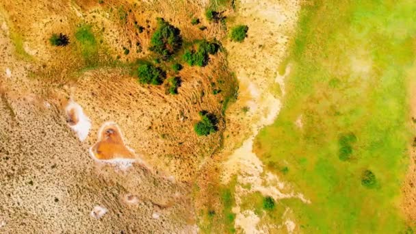佐治亚州Vashlovani国家公园Chachuna自然保护区泥火山现场自上而下的橙色心形 — 图库视频影像