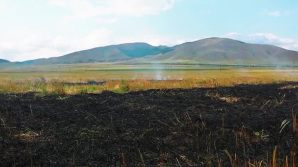 Zwarte Verbrande Rietjes Landbouw Gewas Buiten Ingediend Armenië — Stockvideo