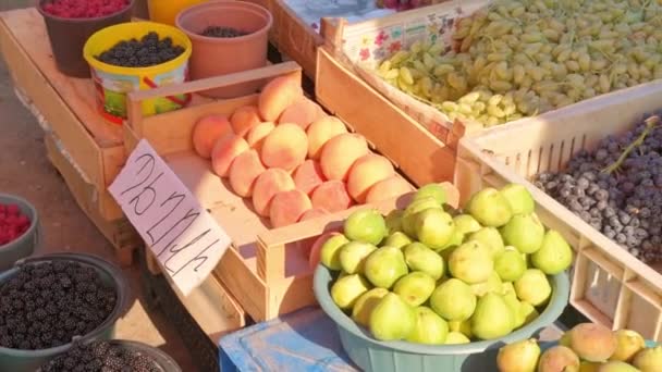 地元のアルメニア市場で屋外展示されている新鮮な果物を見るパンニング — ストック動画