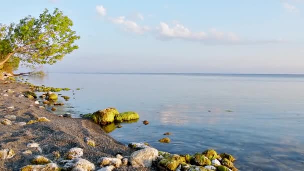 Γραφική Πανοραμική Θέα Της Όμορφης Λίμνης Σεβάν Στην Αρμενία Ταξιδιωτικές — Αρχείο Βίντεο