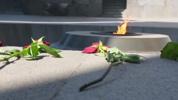 アルメニアの首都エレバンにあるアルメニア人虐殺記念館での永遠の火によって地面に赤いバラの花 公共のランドマーク観光と連帯の概念 — ストック動画