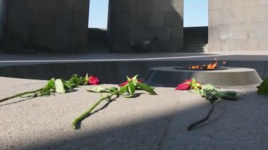 Erivan, Ermenistan 'daki Ermeni soykırımı anıtı müzesine sonsuz ateş altında kırmızı güller. Ünlü halk manzarası ve dayanışma konsepti.