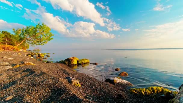 ダイナミックな移動雲の空の背景自然時間の経過とロッキービーチと湖のパノラマ屋外 — ストック動画