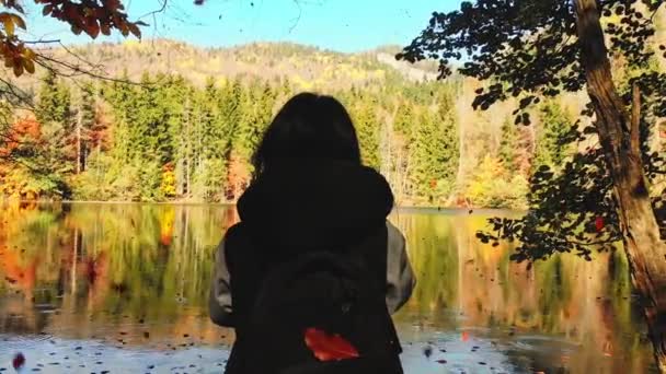 在室外阳光明媚的日子里 站在湖边为美丽的秋天里的自然美景拍照的高加索女性徒步旅行者 树叶在森林中缓缓飘落 — 图库视频影像
