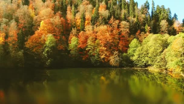 高耸入云的鸟瞰巴泰迪湖景尽收眼底 五彩斑斓的秋天森林尽收眼底 秋天的树木倒影 格鲁吉亚著名的秋季旅游目的地 — 图库视频影像