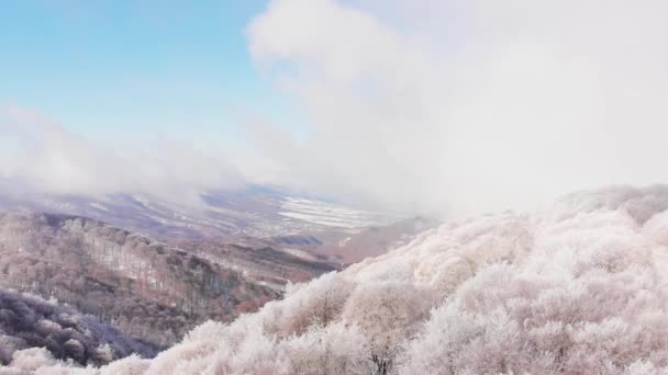 Cinematic Antenowa Mucha Nad Malowniczym Zimowym Krajobrazem Lasu Góry Kaukazu — Wideo stockowe