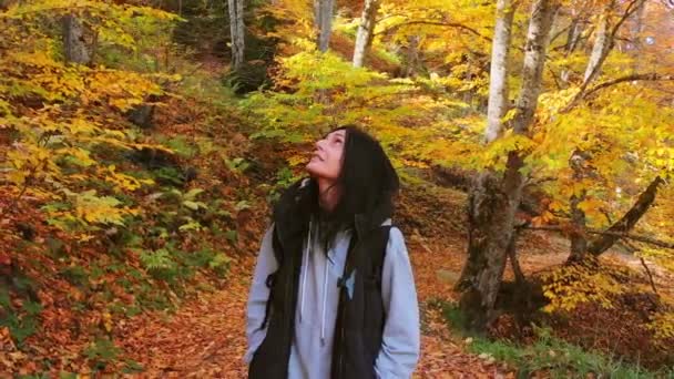 近距离电影缩放前景年轻的高加索女人站在森林里观赏秋天大自然中的树木 树叶在森林里缓缓飘落 旅行目的地 — 图库视频影像
