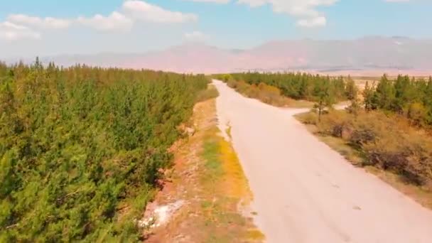 Vzdušné Stoupající Pohled Borovice Les Stránky Horami Panorama Arménii — Stock video