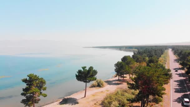 Αεροφωτογραφία Panning Γραφική Sevan Λίμνη Πανόραμα Πεύκα Και Παραλία Στην — Αρχείο Βίντεο