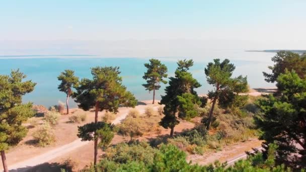 Luchtzoom Zicht Schilderachtige Sevan Meer Panorama Met Pijnbomen Strand Zonnige — Stockvideo