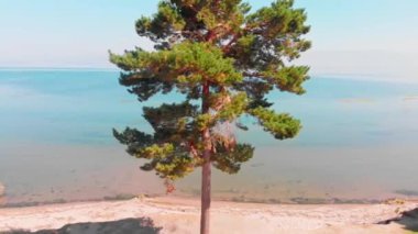 Açık havada ufuk çizgisi olan gökyüzü manzaralı mavi göl manzarası. Ermenistan Sevan göl kıyısı. Kafkaslarda gevşeme tatili