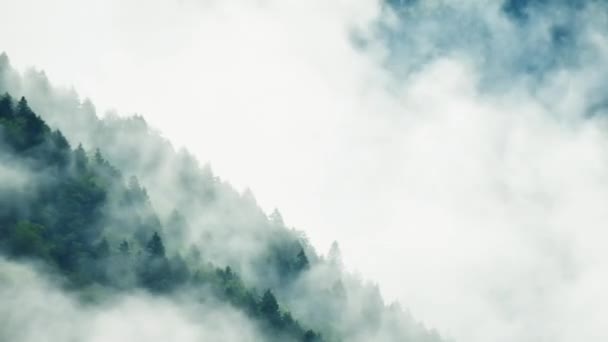 Dramatik Sisli Dağlar Beyaz Kopya Arka Planıyla Açık Havada Hızla — Stok video
