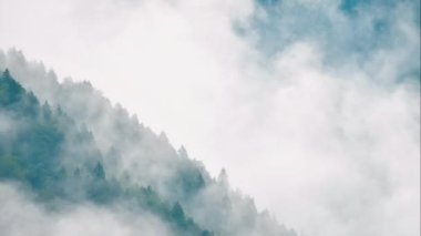 Yağmur durduktan sonra dağ ormanı ve sis. Rize 'de yaprakların sararmaya başladığı sonbahar mevsimi. Türkiye dağları. Fantastik temiz hava manzarası zaman çizelgesi. Çevre koruma