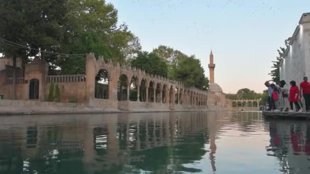 Sanliurfa トルコ 2021 魚と神聖なプールBalikligolで人々 アブラハムのプール Sanliurfaトルコ ウルファ市の静的なビュー建築記念碑 トルコの有名な旅行先 — ストック動画