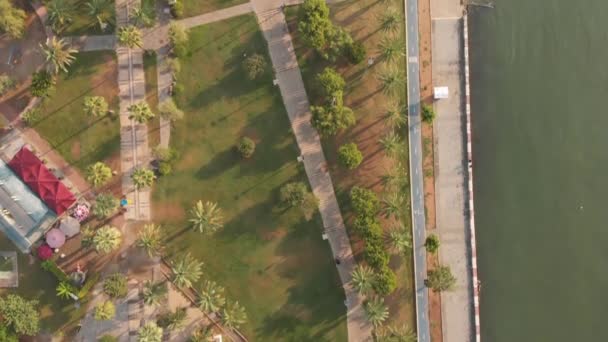 Drone Top Uitzicht Palmen Door Kust Met Paden Geen Mensen — Stockvideo