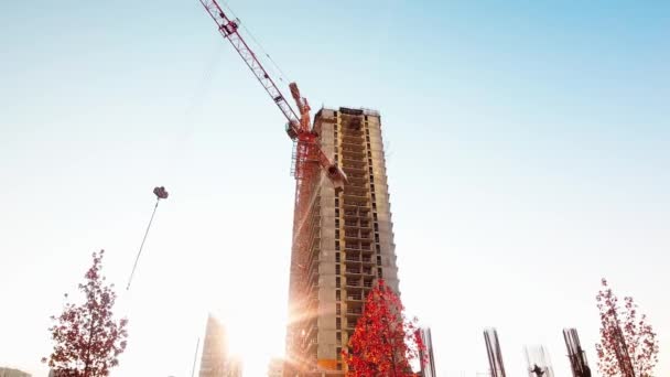 Tower Crane Time Laps Construction Site Construction Crane Time Laps — Stock Video