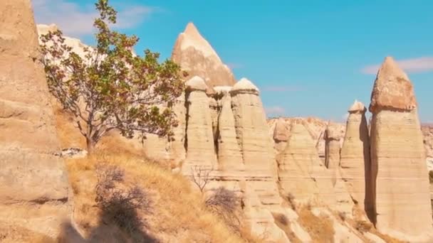 Hasta Abajo Revelan Majestuoso Valle Del Amor Chimeneas Hadas Panorama — Vídeo de stock