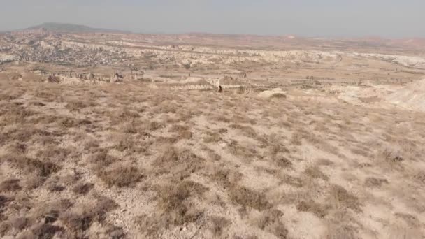 Vue Aérienne Femme Athlète Inspirée Debout Sur Montagne Profitez Panorama — Video