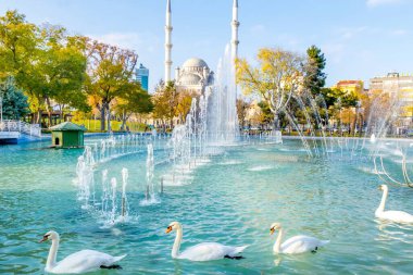 Mavi gölde dört beyaz kuğu yüzüyor. Arka planda fıskiyeler ve cami var. Konya konseptinde seyahat