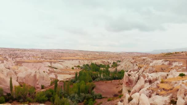 Aerial Rising View Gomeda Valley Landscape Cappadocia Geological Formations Central — Vídeos de Stock