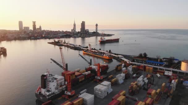 Port Przemysłowy Batumi Dokowanymi Przemieszczającymi Się Statkami Kontenery Dźwigi Port — Wideo stockowe