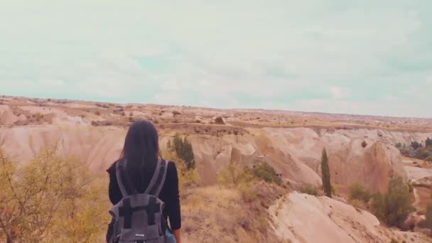 Spårar Tillbaka Visa Kaukasiska Kvinna Naturskön Natur Med Grå Ryggsäck — Stockvideo