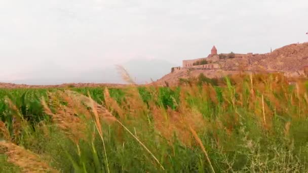 アルメニアの歴史的ランドマークとパノラマビュートウモロコシ畑 コルVirap修道院とアララト山のピーク背景 — ストック動画