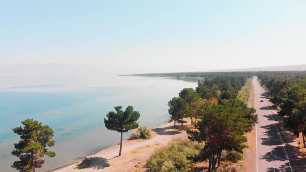 Aerial Static View Sevan Lake Panorama Pine Trees Beach Sunny — Stockvideo
